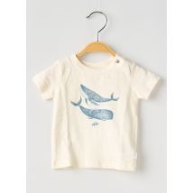 NOPPIES - T-shirt beige en coton - Garçon - Taille TU - Modz