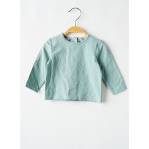 MARESE - T-shirt vert en coton - Garçon - Taille TU - Modz