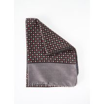 DELAHAYE - Echarpe gris en polyester - Homme - Taille TU - Modz