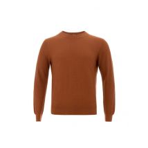 Elegant Cotton Crewneck Sweater in Rich Brown