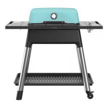 Force Gas 2 Burner BBQ with Stand - Mint