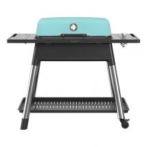 Furnace Gas 3 Burner BBQ with stand - Mint