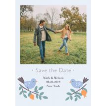 Love Birds on Branches Save the Date 8x6" (20x15cm) Flat Card set of 20 (gloss cardstock), rounded corners, Card & Stationery Light Blue
