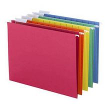 Easylife Hanging Files, Size Pack Of 10