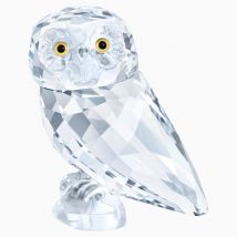 Owlet