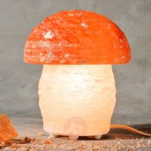Wspaniała lampa solna PILZ o kształcie grzyba