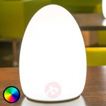 Egg - oświetlenie dekoracyjne sterowane aplikacją