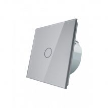 Włącznik dotykowy pojedynczy LIVOLO VL - C701 szary