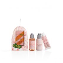 L'Occitane Adorno de Beleza de Flor de Cerejeira