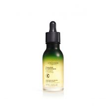 L'Occitane Sérum de Noite Couro Cabeludo Aromacologia 50ml
