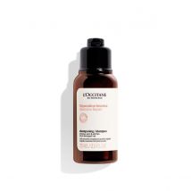 L'Occitane Champô Reparação Intensa Aromacologia 75ml