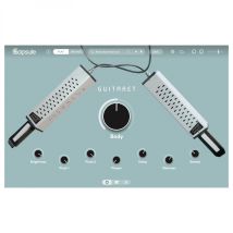 Capsule Guitaret