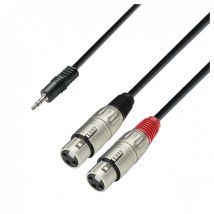 Adam Hall 3 STAR Balanced 3.5mm TRS Mini Jack to Twin XLR (F) Splitter Cable 3m