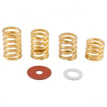 Bigsby Spring and Washer Pack Gold