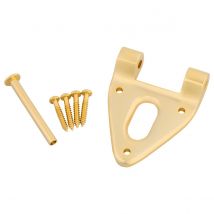 Bigsby Conventional Hinge w/Hinge Pin and Screws Gold