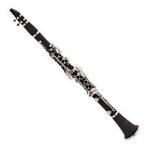 Forte CL220 Bb Clarinet Outfit