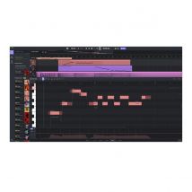 ACE Studio Artist Pro Lifetime
