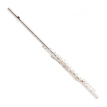 Trevor James Virtuoso Flute Voce Head Split E