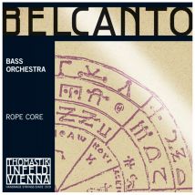 Thomastik Belcanto Orchestra Double Bass D String 3/4 Size