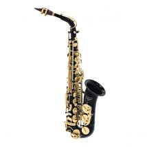 Elkhart 100AS Student Alto Saxophone Black