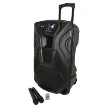 QTX Busker 15 PA with VHF Mics Media Player & Bluetooth