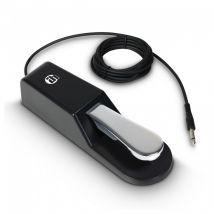 Adam Hall SP1 Sustain Pedal