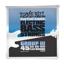 Ernie Ball 2806 Stainless Flatwound Bass Set 45-100