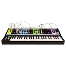 Moog Matriarch Paraphonic Analog Synth