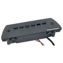 Seymour Duncan SA-6 Mag Mic Acoustic System