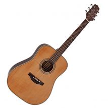 Takamine GD20-NS Dreadnought Acoustic Natural