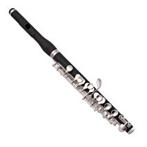 Trevor James 5X Piccolo