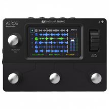 Singular Sound Aeros Looper