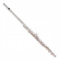 Trevor James TJ10XP Student Flute Silver Riser and Lip