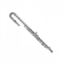 Roy Benson FL102 Flute for Children Curved Head