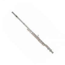 Roy Benson FL402E2 Flute