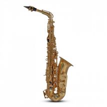 Roy Benson AS202 Alto Saxophone Gold
