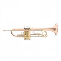 Roy Benson TR202 Trumpet Gold Brass Bell