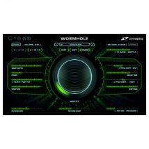 Zynaptiq Wormhole