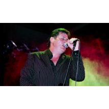 tony hadley