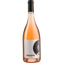 Pigmentum Malbec Rosé 2023 Georges Vigouroux - Pigmentum