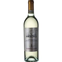 Vernaccia di San Gimignano 2024 Castellani