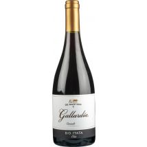 Gallardia Cinsault 2020 De Martino Gallardia