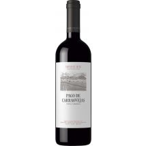 Ribera del Duero 2023 Pago de Carraovejas
