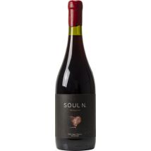 Soul N Pinot Noir 2023 Bodegas Verum