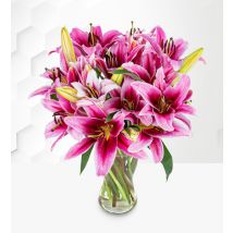 Stargazer - Flower Delivery - Next Day Flower Delivery - Next Day Flowers - Send Flowers - Flowers By Post