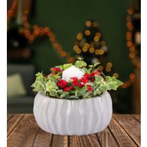 Christmas Candle Centrepiece - Christmas Plants - Indoor Plants - Indoor Plant Delivery - Christmas Plant Delivery - Free Chocs