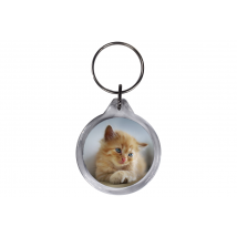 ResKey Schlüsselanhänger rund Katze Babykatze beidseitig bedruckt