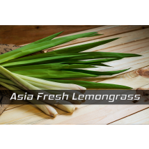Nachfüll Duft 3ml Asia Fresh Lemongrass