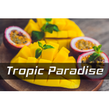 Nachfüll Duft 3ml Tropic Paradise