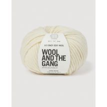 Wool and the Gang Lil Crazy Sexy Wool Chunky Yarn Ivory White